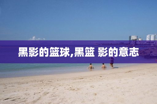 黑影的篮球,黑篮 影的意志