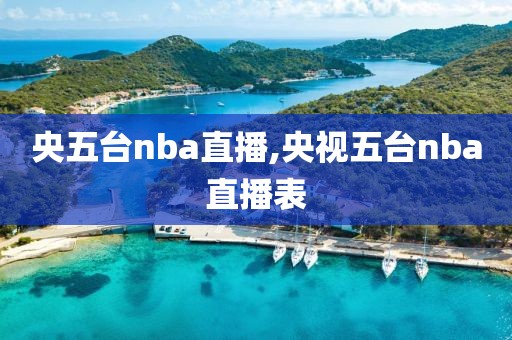 央五台nba直播,央视五台nba直播表