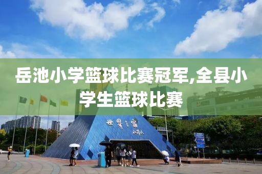 岳池小学篮球比赛冠军,全县小学生篮球比赛