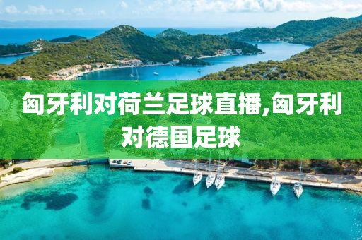 匈牙利对荷兰足球直播,匈牙利对德国足球