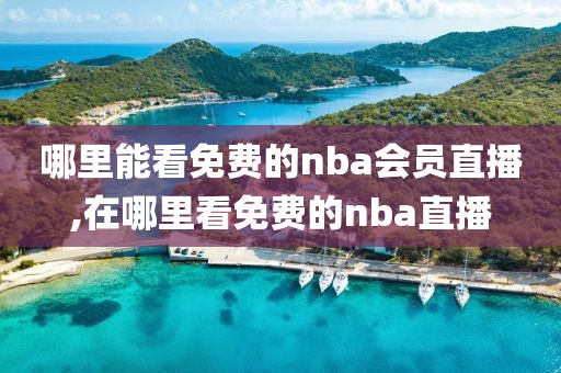 哪里能看免费的nba会员直播,在哪里看免费的nba直播