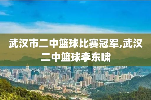 武汉市二中篮球比赛冠军,武汉二中篮球李东啸