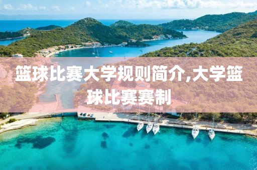 篮球比赛大学规则简介,大学篮球比赛赛制