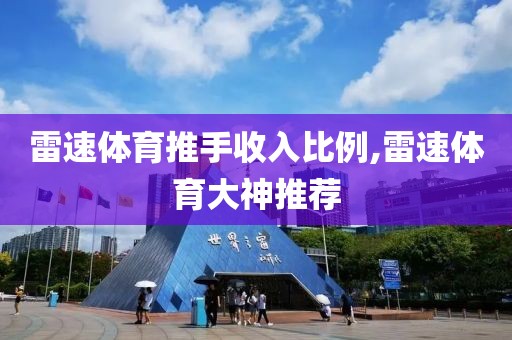 雷速体育推手收入比例,雷速体育大神推荐