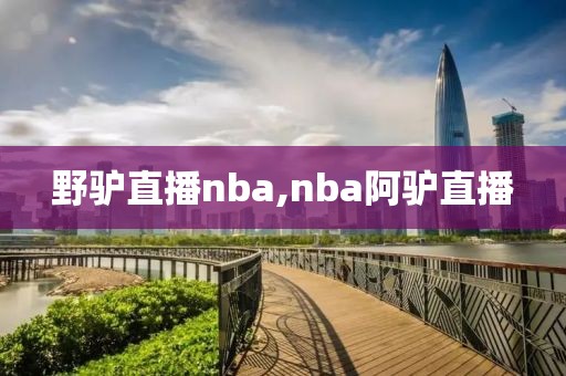 野驴直播nba,nba阿驴直播