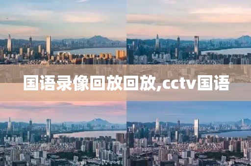 国语录像回放回放,cctv国语