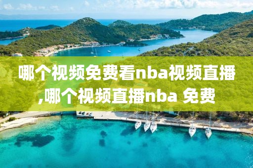 哪个视频免费看nba视频直播,哪个视频直播nba 免费