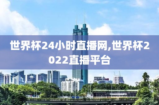 世界杯24小时直播网,世界杯2022直播平台