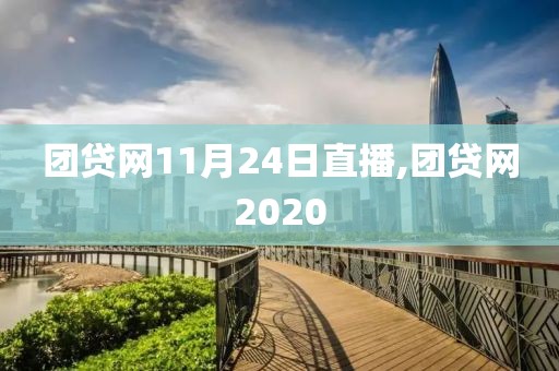 团贷网11月24日直播,团贷网2020