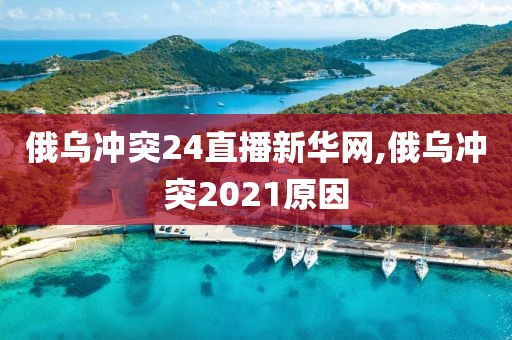 俄乌冲突24直播新华网,俄乌冲突2021原因