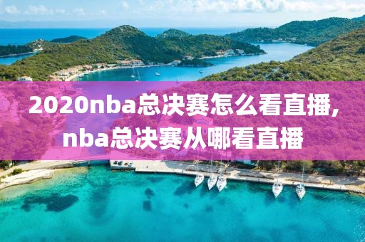 2020nba总决赛怎么看直播,nba总决赛从哪看直播