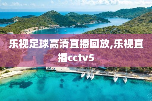 乐视足球高清直播回放,乐视直播cctv5