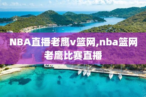 NBA直播老鹰v篮网,nba篮网老鹰比赛直播