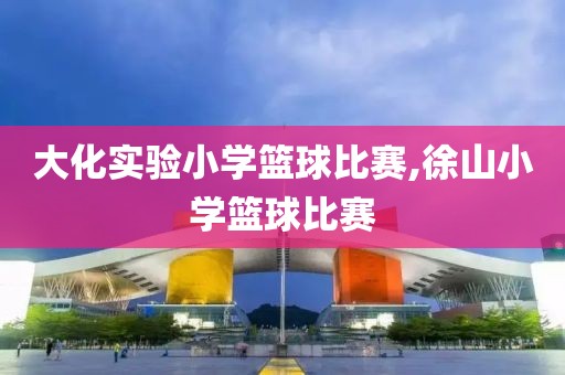 大化实验小学篮球比赛,徐山小学篮球比赛