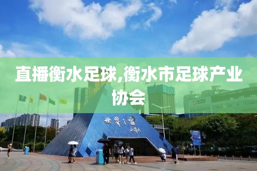 直播衡水足球,衡水市足球产业协会