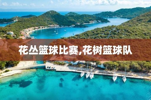 花丛篮球比赛,花树篮球队
