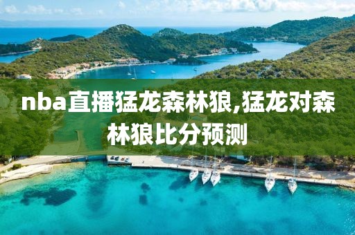 nba直播猛龙森林狼,猛龙对森林狼比分预测