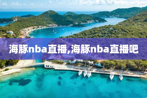 海豚nba直播,海豚nba直播吧