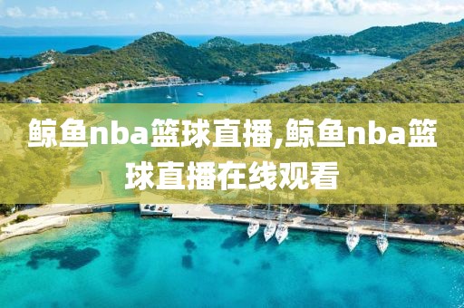 鲸鱼nba篮球直播,鲸鱼nba篮球直播在线观看