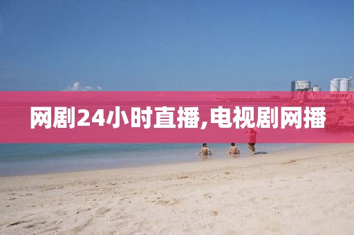 网剧24小时直播,电视剧网播