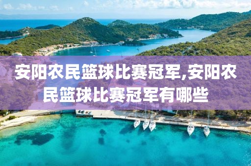 安阳农民篮球比赛冠军,安阳农民篮球比赛冠军有哪些