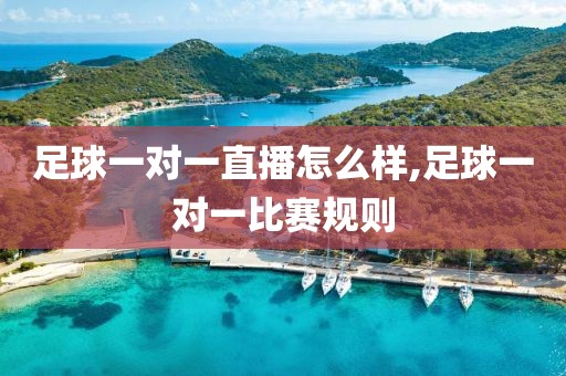 足球一对一直播怎么样,足球一对一比赛规则