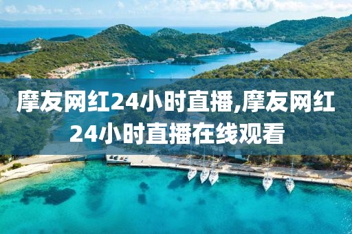 摩友网红24小时直播,摩友网红24小时直播在线观看