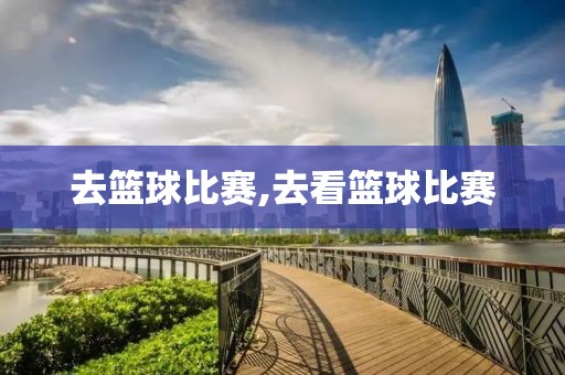 去篮球比赛,去看篮球比赛