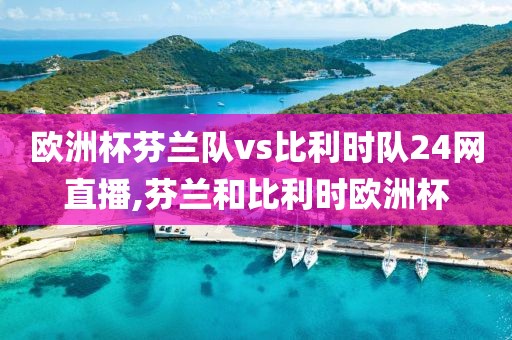 欧洲杯芬兰队vs比利时队24网直播,芬兰和比利时欧洲杯