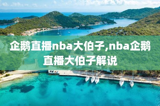 企鹅直播nba大伯子,nba企鹅直播大伯子解说