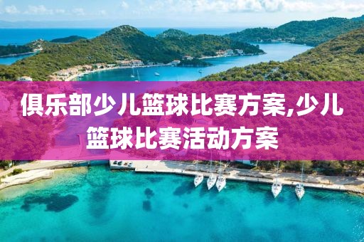俱乐部少儿篮球比赛方案,少儿篮球比赛活动方案