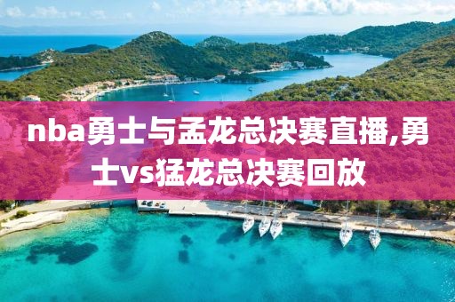 nba勇士与孟龙总决赛直播,勇士vs猛龙总决赛回放
