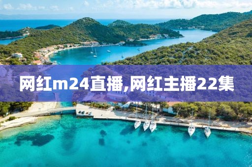 网红m24直播,网红主播22集