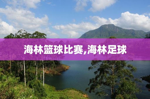 海林篮球比赛,海林足球