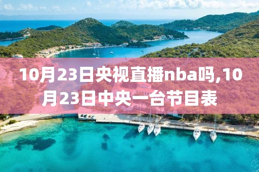 10月23日央视直播nba吗,10月23日中央一台节目表