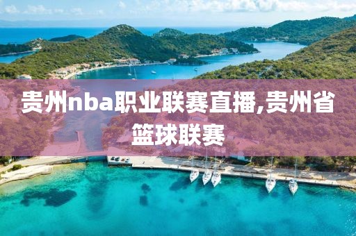 贵州nba职业联赛直播,贵州省篮球联赛