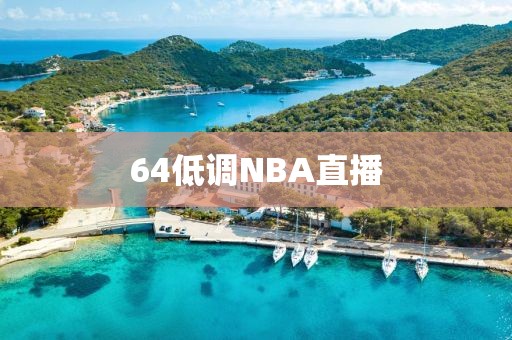 64低调NBA直播