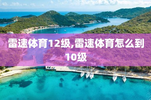 雷速体育12级,雷速体育怎么到10级
