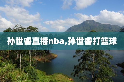 孙世睿直播nba,孙世睿打篮球