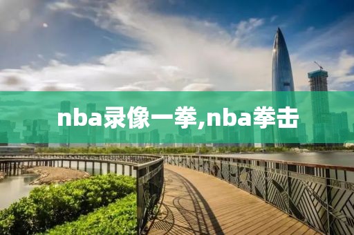 nba录像一拳,nba拳击