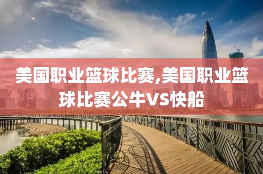 美国职业篮球比赛,美国职业篮球比赛公牛VS快船