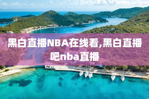 黑白直播NBA在线看,黑白直播吧nba直播
