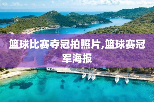 篮球比赛夺冠拍照片,篮球赛冠军海报