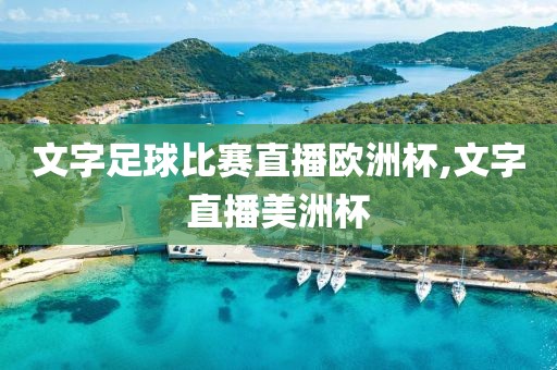 文字足球比赛直播欧洲杯,文字直播美洲杯