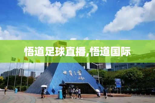 悟道足球直播,悟道国际