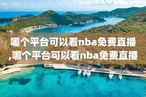 哪个平台可以看nba免费直播,哪个平台可以看nba免费直播