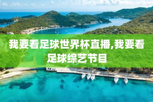 我要看足球世界杯直播,我要看足球综艺节目