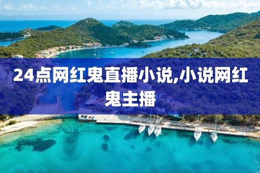 24点网红鬼直播小说,小说网红鬼主播