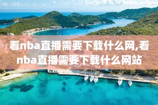 看nba直播需要下载什么网,看nba直播需要下载什么网站