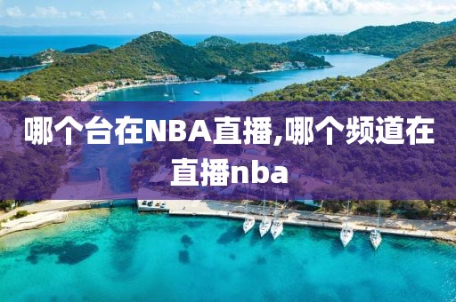 哪个台在NBA直播,哪个频道在直播nba